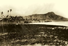 Crater Culture