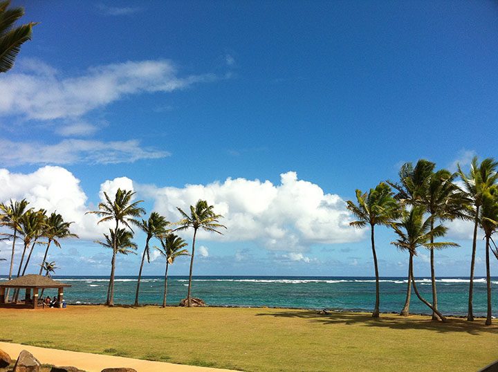 Image of Coconut Coast