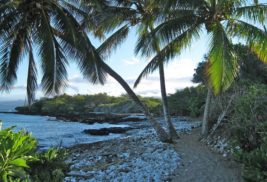 In Waikoloa, History and Culture Meet Tropical Paradise