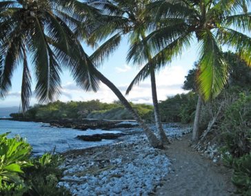 In Waikoloa, History and Culture Meet Tropical Paradise