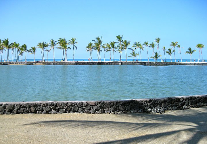 Image of ʻAnaehoʻomalu