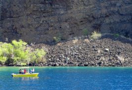 Kona on Big Island: Much More Than Great Coffee