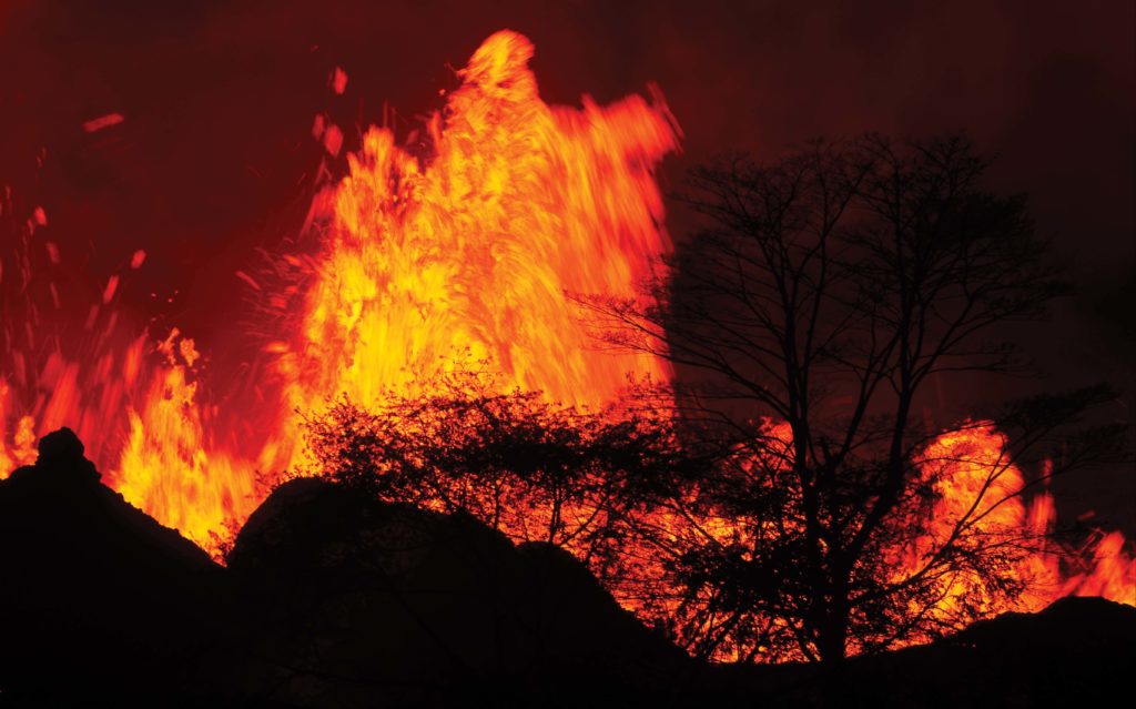 Image of an Albizia Tree is foreground as lava erupts inside Leilani Estates