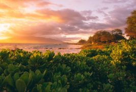 Itineraries: Maui Travel Guide