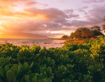 Itineraries: Maui Travel Guide