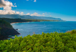 Kilauea: Quaint and Charming on Kauai’s North Shore