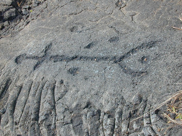 Image of Ancient petroglyphs seen carved into lava rocks