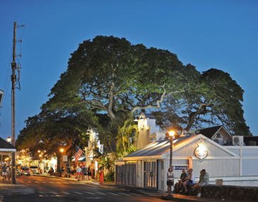 Boho Meets Old School Hawaii in Charming Hawi