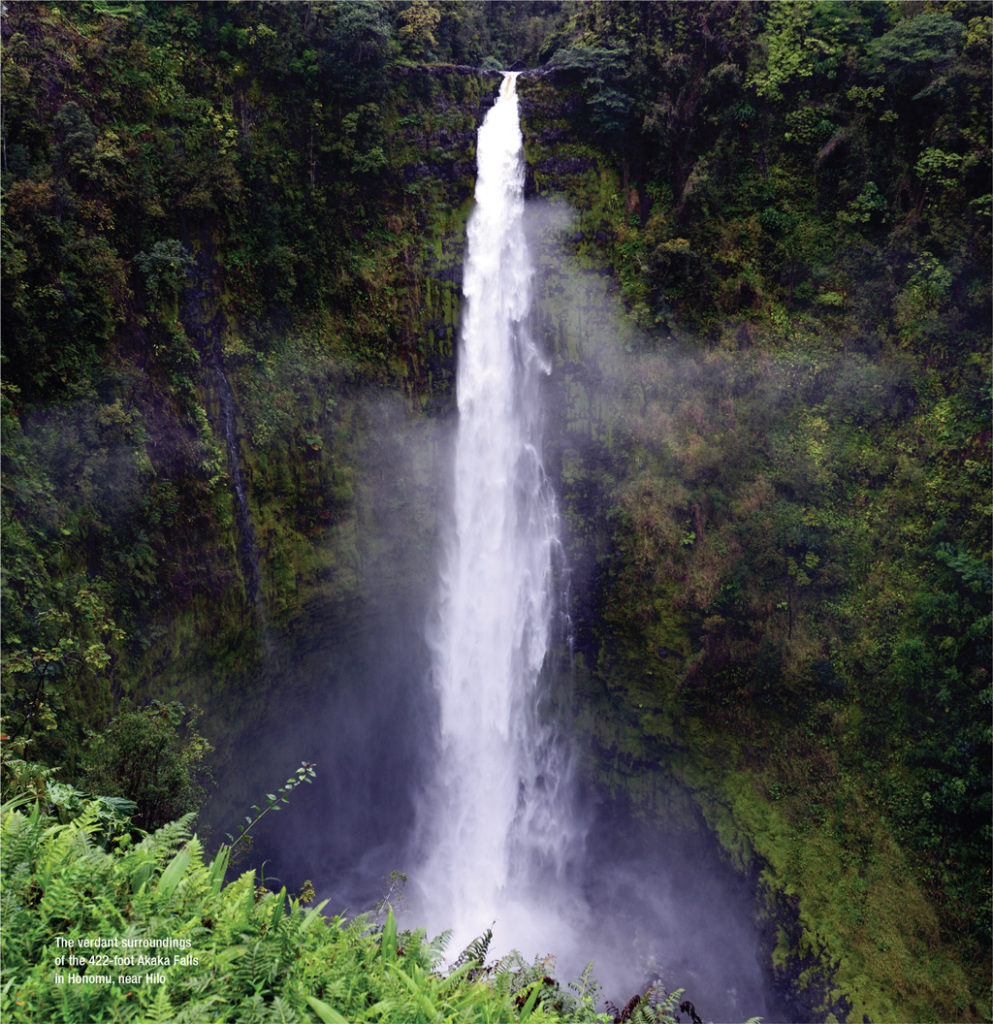 Image of The verdant surroundings