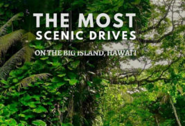 Road Trip: Scenic Drives on the Big Island