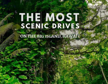 Road Trip: Scenic Drives on the Big Island