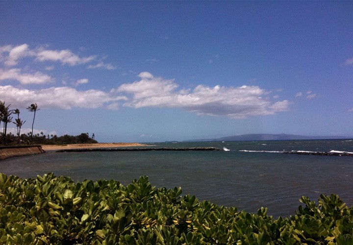 Image of Koieie Fishpond