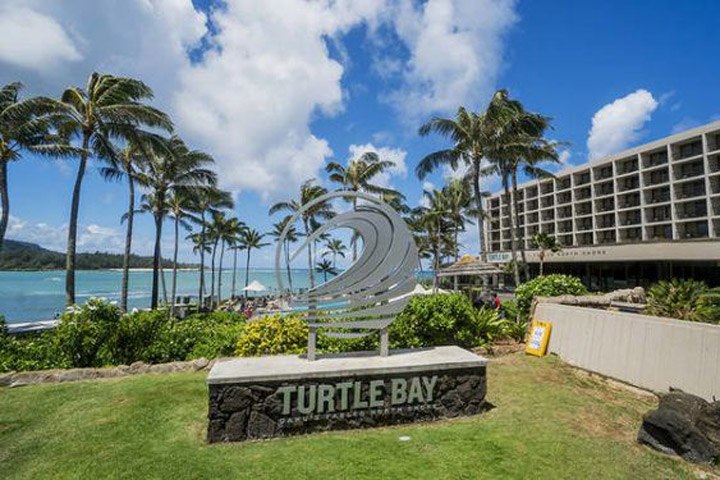 Image of turtle bay
