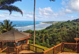 Outer Island Real Estate Trends