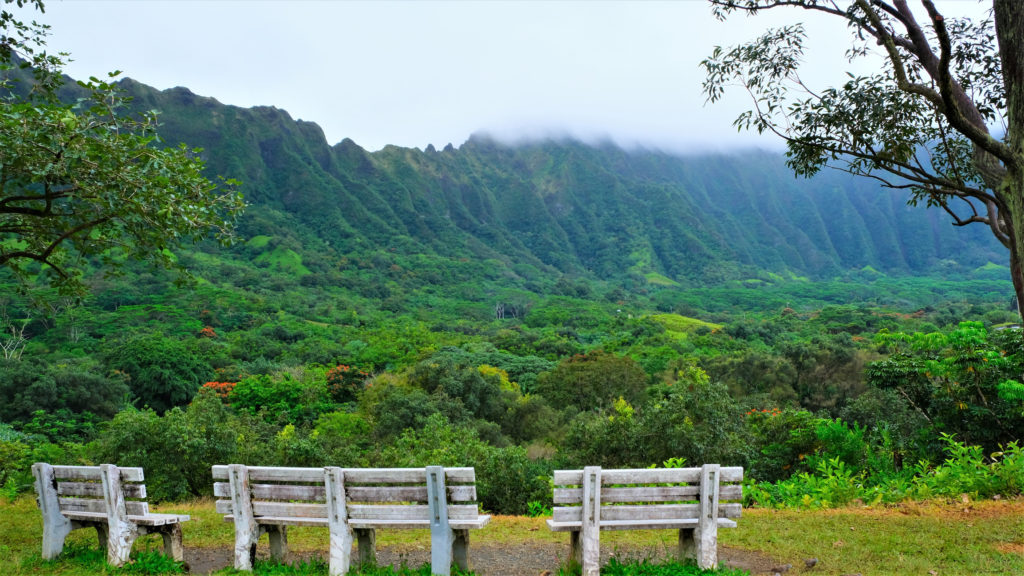 oahu around the island tour