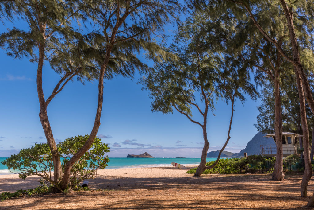 oahu around the island tour