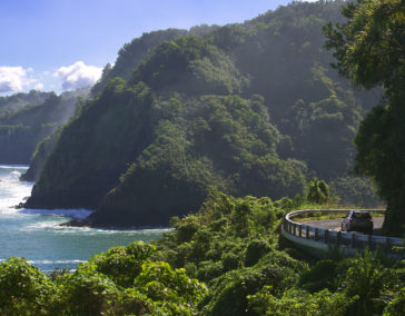 Your Road to Hana Survival Guide