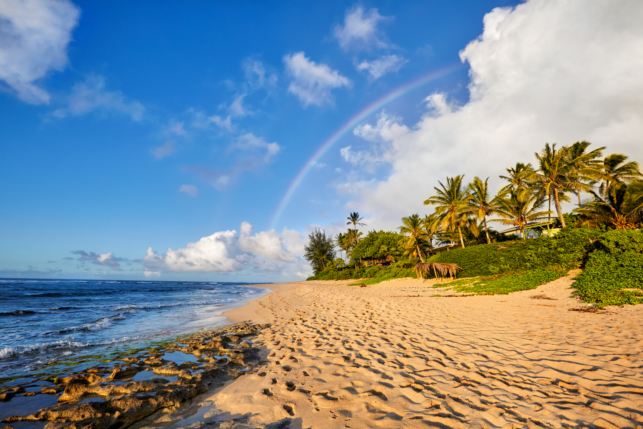 Best North Shore O'ahu Surf Spots