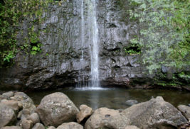 Hiking Manoa Falls Trail