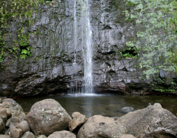 Hiking Manoa Falls Trail